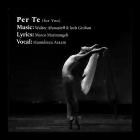 دانلود اهنگ حمیدرضا آرام Per Te