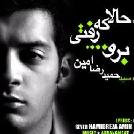 دانلود اهنگ حمیدرضا امین حالا که رفتی برو
