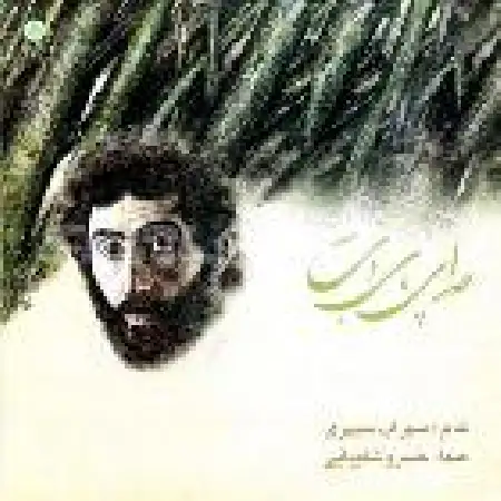 دانلود اهنگ خسرو شکیبایی صدای پای آب ۲