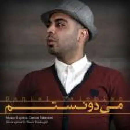 دانلود اهنگ دانیال طالبیان می دونستم