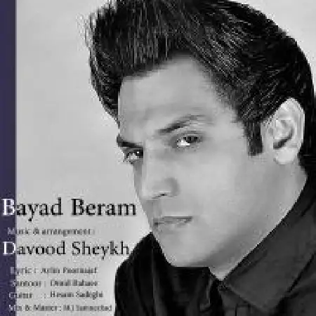 دانلود اهنگ داود شیخ از وقتی رفتی