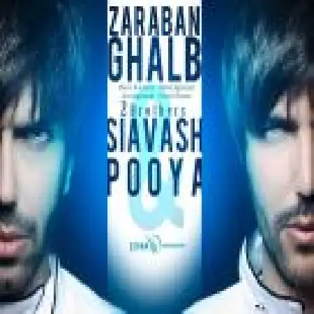 دانلود اهنگ دو برادر ضربان قلب