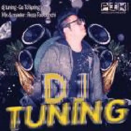 دانلود اهنگ دی جی تیونینگ Go To Spring