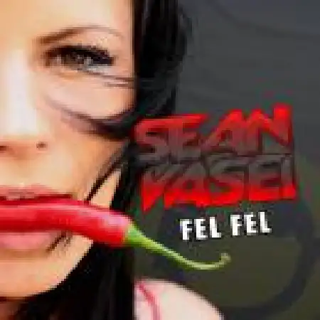 دانلود اهنگ دی جی شون واسی فلفل (میکس)