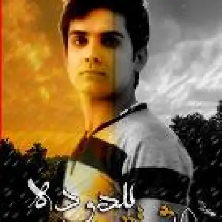 دانلود اهنگ رضا آشوب عشق بیهوده