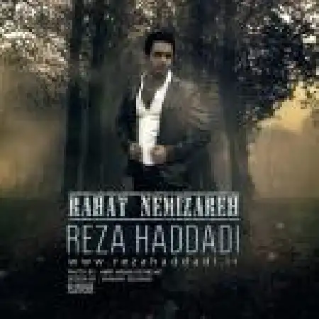 دانلود اهنگ رضا حدادی راحت نمیزاره