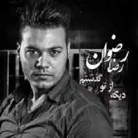 دانلود آلبوم تک اهنگ ها از رضا رضوان