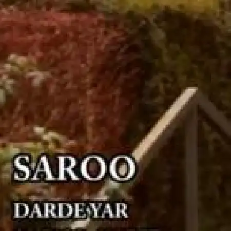 دانلود اهنگ سارو درد یار