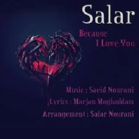 دانلود اهنگ سالار چون دوست دارم