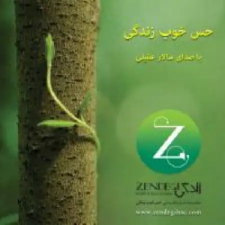 دانلود اهنگ سالار عقیلی به سپیده صلح