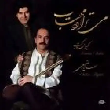 دانلود اهنگ کیوان ساکت تکنوازی سه تار (بیات ترک شور)