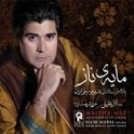 دانلود اهنگ سالار عقیلی خوشه چین