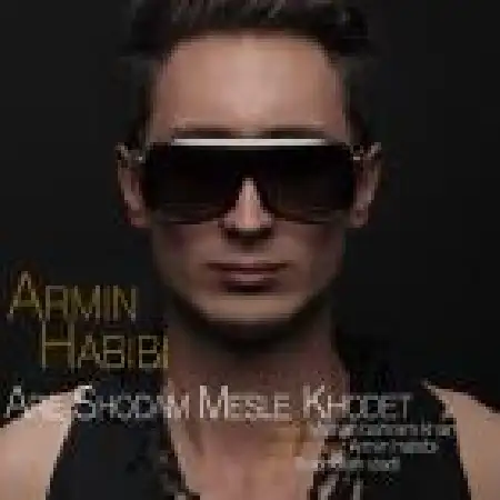 دانلود اهنگ آرمین حبیبی آره شدم مثل خودت