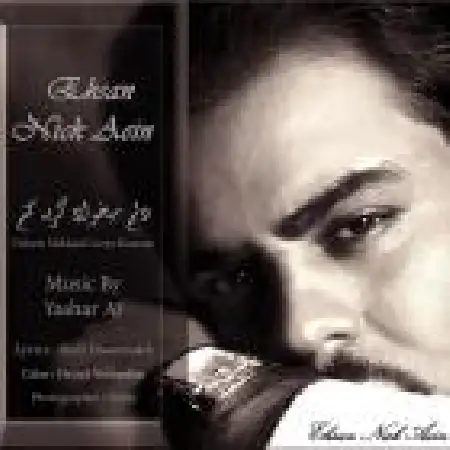 دانلود اهنگ احسان نیک آئین دلم میخواد گریه کنم