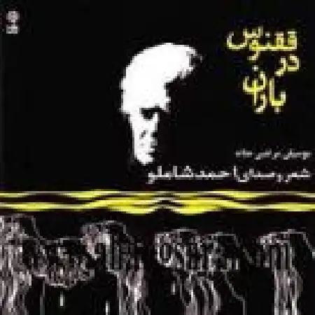 دانلود اهنگ احمد شاملو در شب