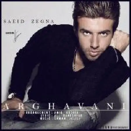 دانلود آلبوم تک اهنگ ها از سعید زگنا