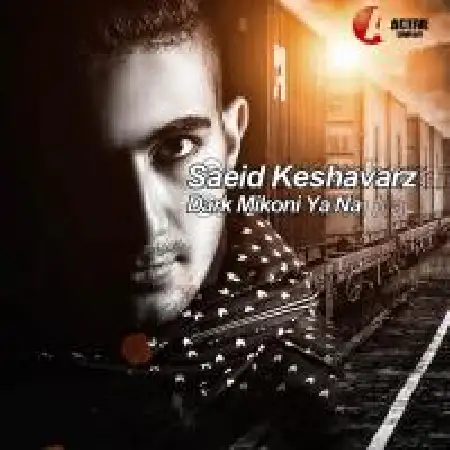 دانلود اهنگ سعید کشاورز درک میکنی با نه