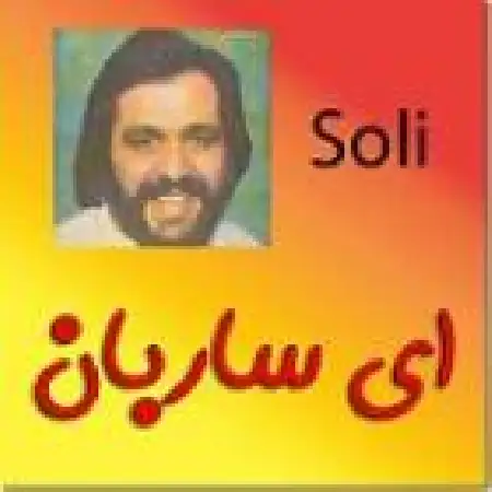 دانلود آلبوم ای ساربان از سلی