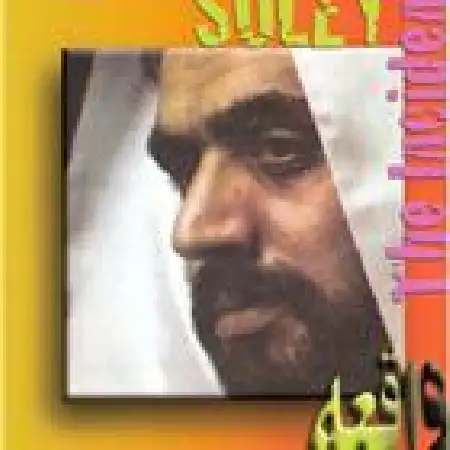 دانلود آلبوم واقعه از سلی