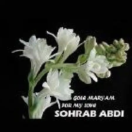 دانلود اهنگ سهراب عبدی گل مریم