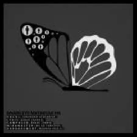 دانلود آلبوم تک اهنگ ها از شاهرخ افشارفر