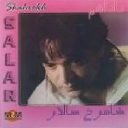 دانلود اهنگ شاهرخ سالار من بیشترم