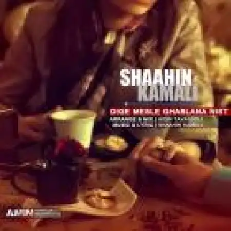 دانلود اهنگ شاهین کمالی دیگه مثل قبلنا نیست