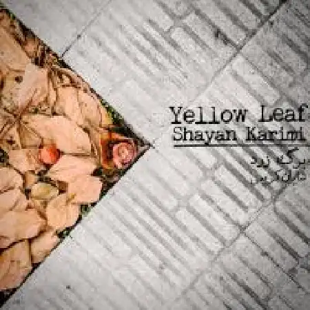 دانلود اهنگ شایان کریمی برگ زرد
