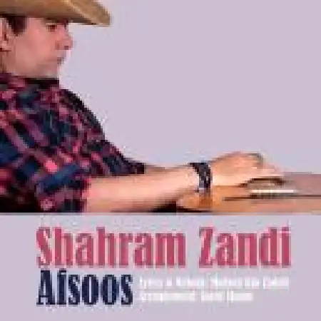 دانلود اهنگ شهرام زندی افسوس