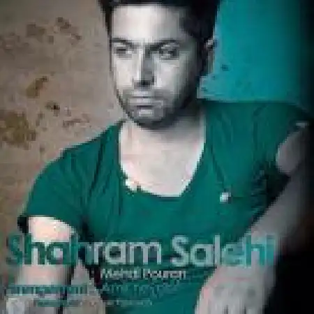 دانلود اهنگ شهرام صالحی دیوونه میشم