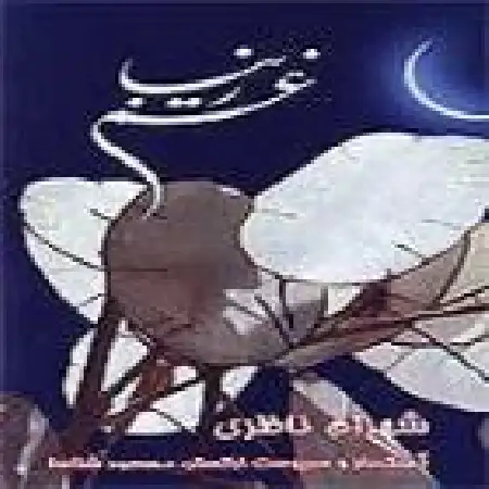 دانلود اهنگ شهرام ناظری آواز زند