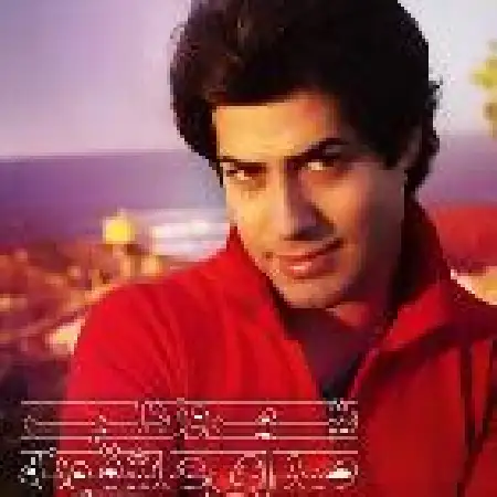 دانلود اهنگ شهروز دلبر ریمیکس