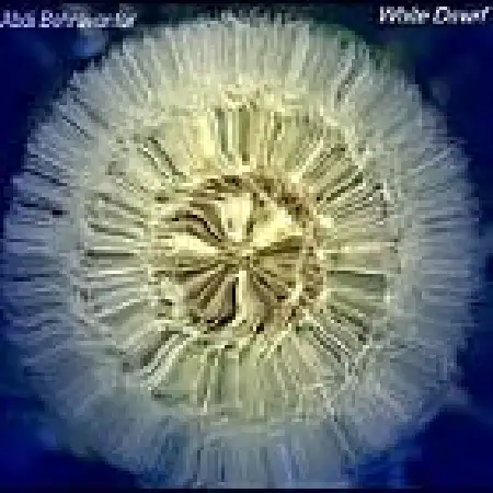 دانلود اهنگ عبدی بهروانفر کوتوله سفید