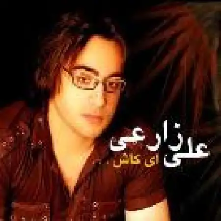 دانلود اهنگ علی زارعی کاش میشد