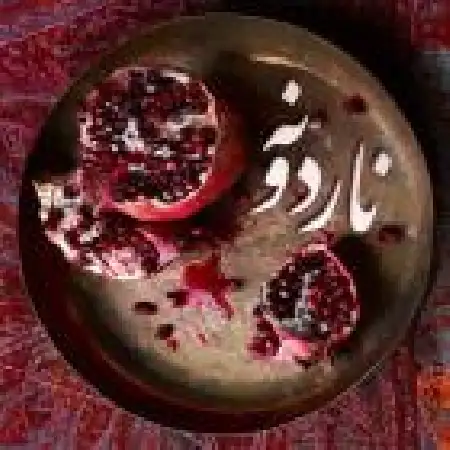 دانلود اهنگ علی زند وکیلی ناردونه