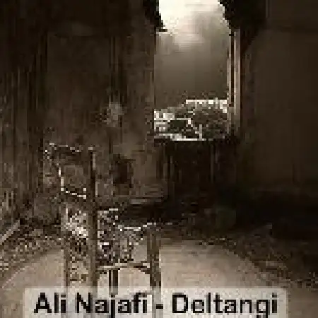 دانلود اهنگ علی نجفی دلتنگی