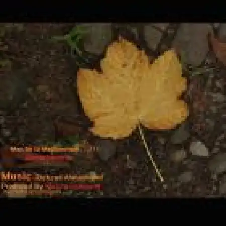 دانلود اهنگ علیرضا پروین فر من به تو مدیونم