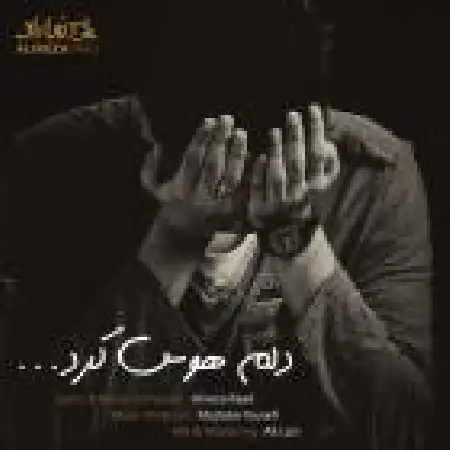 دانلود اهنگ علیرضا راد دلم هوس کرد