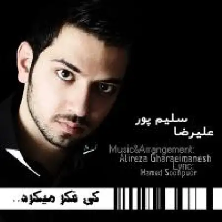 دانلود اهنگ علیرضا سلیم پور کی فکر می کرد