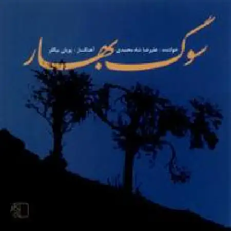 دانلود اهنگ علیرضا شاه محمدی ساز و آواز٬ درآمد٬ اشاره به دشتی (آواز بیات ترک)