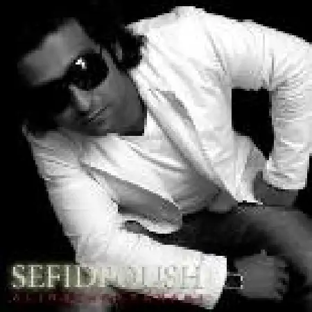 دانلود اهنگ علیرضا فراهانی میخوام بگم