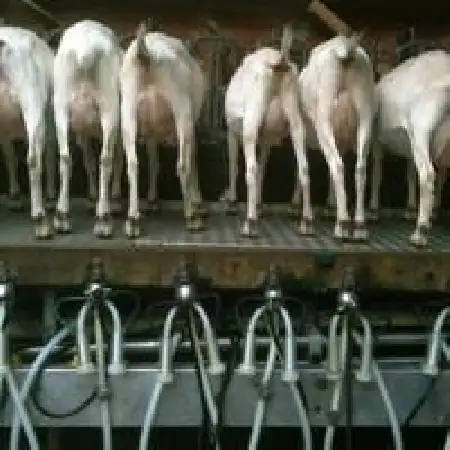 دانلود اهنگ فرجام سعیدی Barn Inside