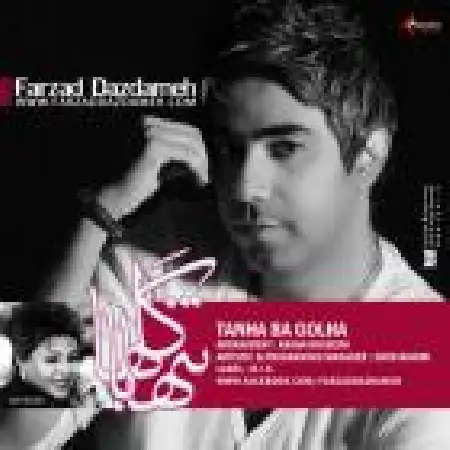 دانلود اهنگ فرزاد دزدمه تنها با گلها