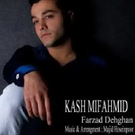 دانلود اهنگ فرزاد دهقان کاش می فهمیدی