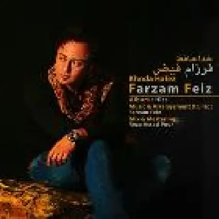 دانلود اهنگ فرزام فیض خداحافظ