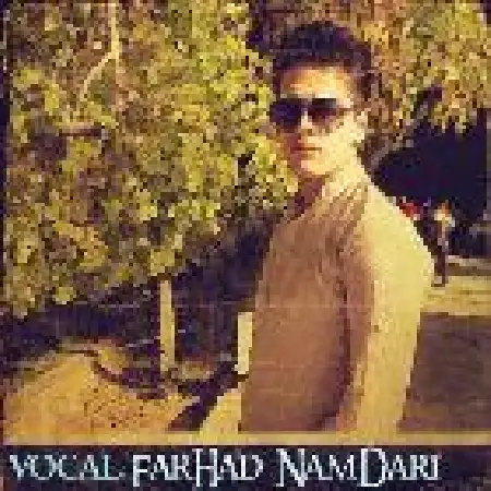 دانلود اهنگ فرهاد نامداری چی شده