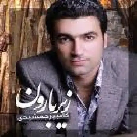 دانلود آلبوم زیر بارون از کامبیز جمشیدی