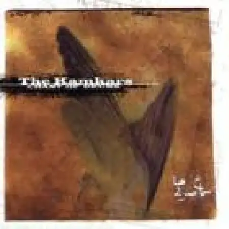 دانلود اهنگ کامکارها قطعه ۲