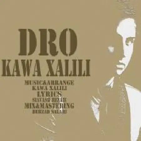دانلود اهنگ کاوه خلیلی Dro