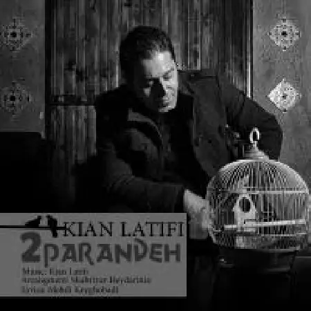 دانلود اهنگ کیان لطیفی دو پرنده